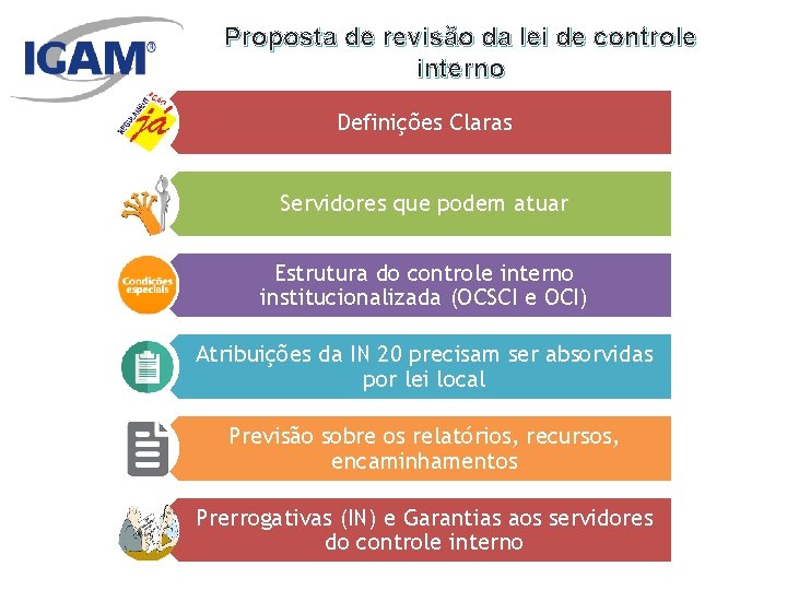 Proposta de revisão da lei de controle interno Definições Claras Servidores que podem atuar