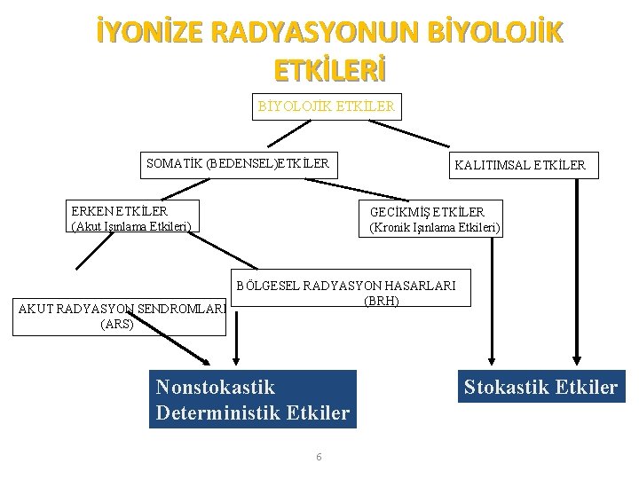 İYONİZE RADYASYONUN BİYOLOJİK ETKİLERİ BİYOLOJİK ETKİLER SOMATİK (BEDENSEL)ETKİLER ERKEN ETKİLER (Akut Işınlama Etkileri) AKUT