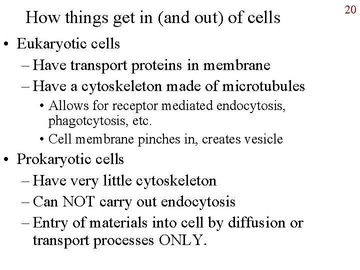 How things get in (and out) of cells • Eukaryotic cells – Have transport
