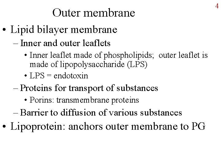 Outer membrane • Lipid bilayer membrane – Inner and outer leaflets • Inner leaflet