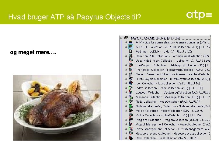 Hvad bruger ATP så Papyrus Objects til? og meget mere…. 