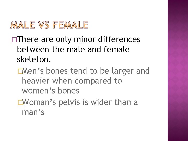 �There are only minor differences between the male and female skeleton. �Men’s bones tend