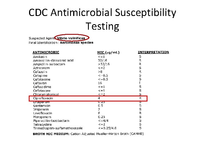 CDC Antimicrobial Susceptibility Testing 