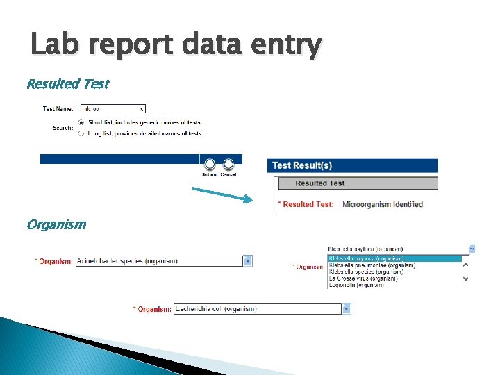Lab report data entry Resulted Test Organism 