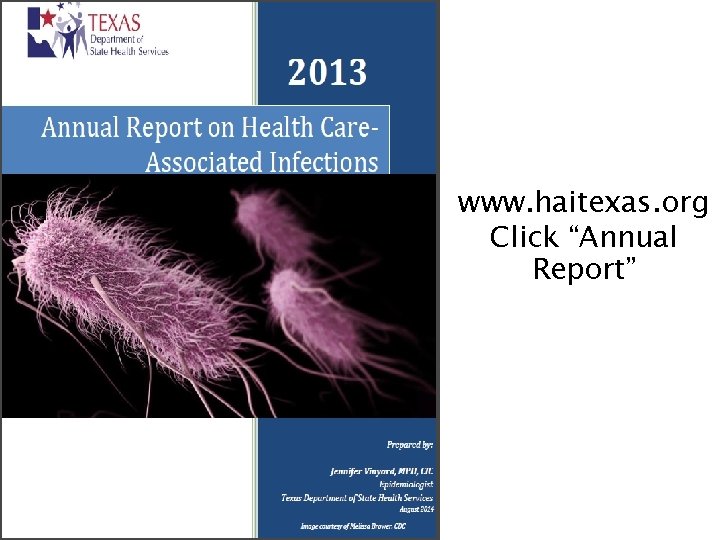 www. haitexas. org Click “Annual Report” 