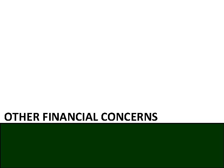 OTHER FINANCIAL CONCERNS 