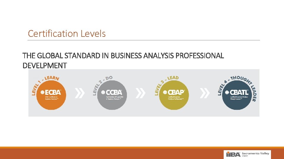 Certification Levels THE GLOBAL STANDARD IN BUSINESS ANALYSIS PROFESSIONAL DEVELPMENT 