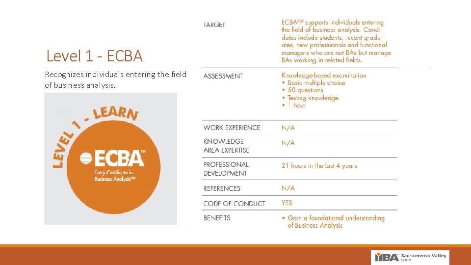 Level 1 - ECBA Recognizes individuals entering the field of business analysis. 