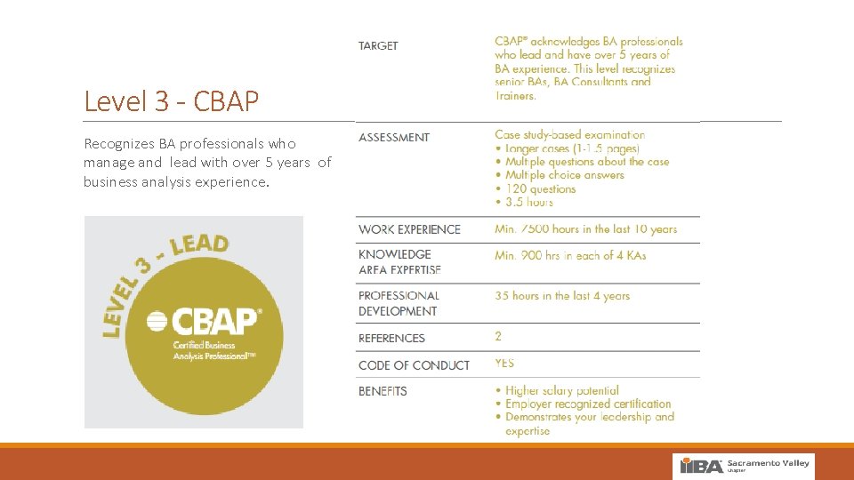 Level 3 - CBAP Recognizes BA professionals who manage and lead with over 5