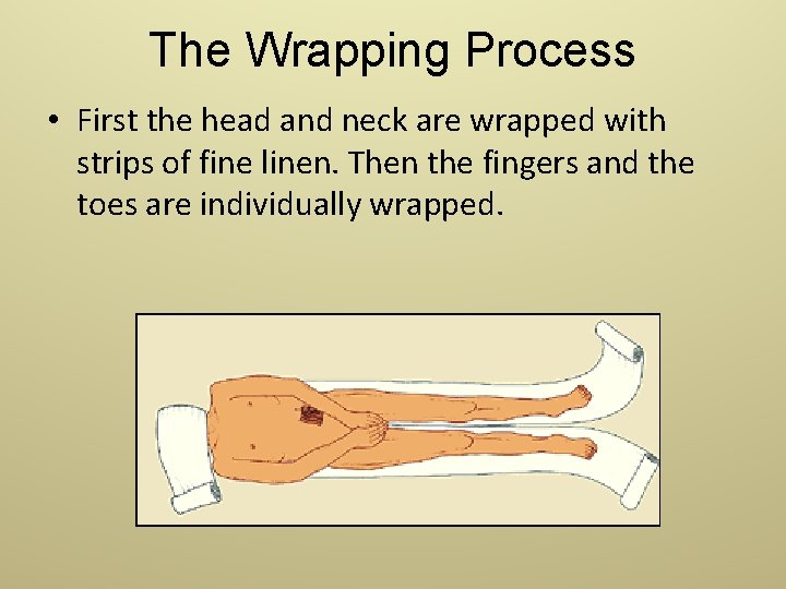 The Wrapping Process • First the head and neck are wrapped with strips of