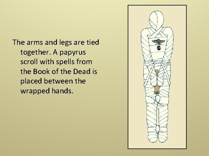 The arms and legs are tied together. A papyrus scroll with spells from the