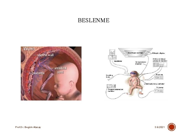 BESLENME Prof. Dr. Begüm Atasay 3. 9. 2021 