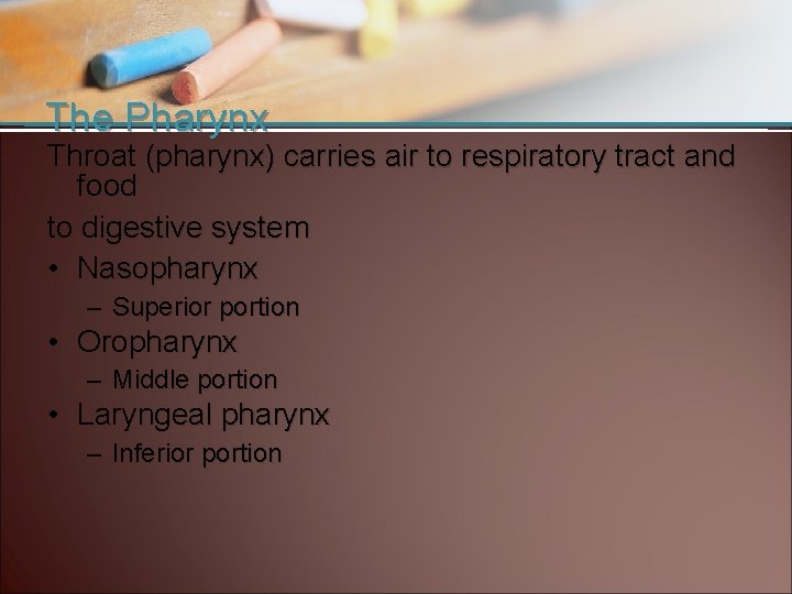 The Pharynx Throat (pharynx) carries air to respiratory tract and food to digestive system