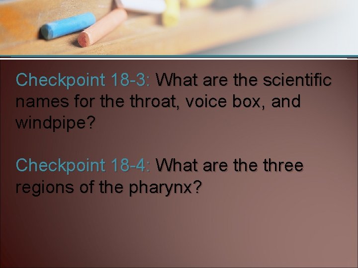 Checkpoint 18 -3: What are the scientific names for the throat, voice box, and