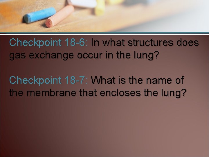 Checkpoint 18 -6: In what structures does gas exchange occur in the lung? Checkpoint