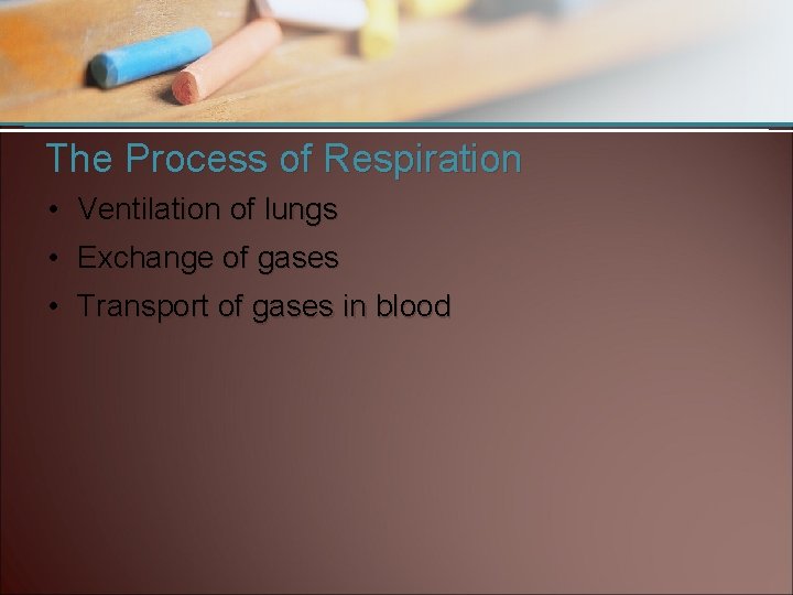 The Process of Respiration • Ventilation of lungs • Exchange of gases • Transport