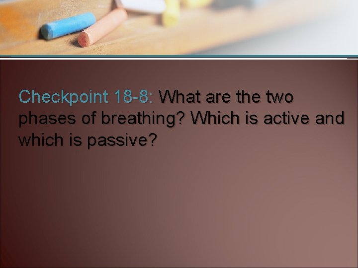 Checkpoint 18 -8: What are the two phases of breathing? Which is active and