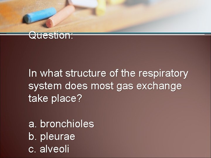 Question: In what structure of the respiratory system does most gas exchange take place?