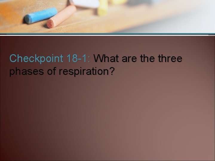 Checkpoint 18 -1: What are three phases of respiration? 