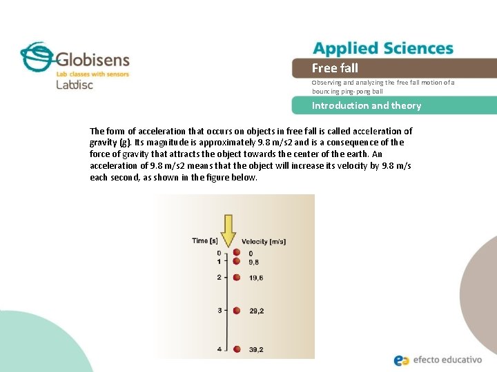 Free fall Observing and analyzing the free fall motion of a bouncing ping-pong ball