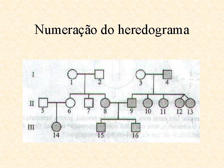 Numeração do heredograma 