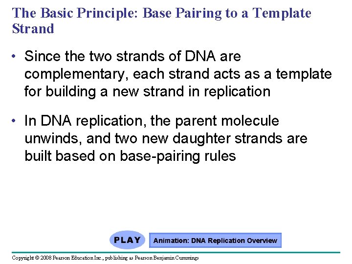 The Basic Principle: Base Pairing to a Template Strand • Since the two strands