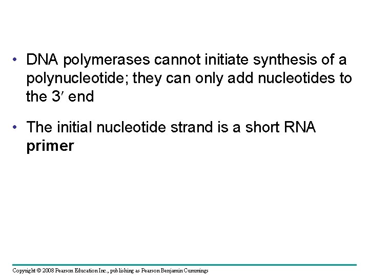  • DNA polymerases cannot initiate synthesis of a polynucleotide; they can only add