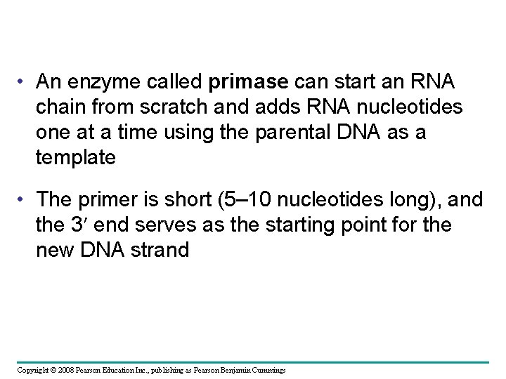  • An enzyme called primase can start an RNA chain from scratch and