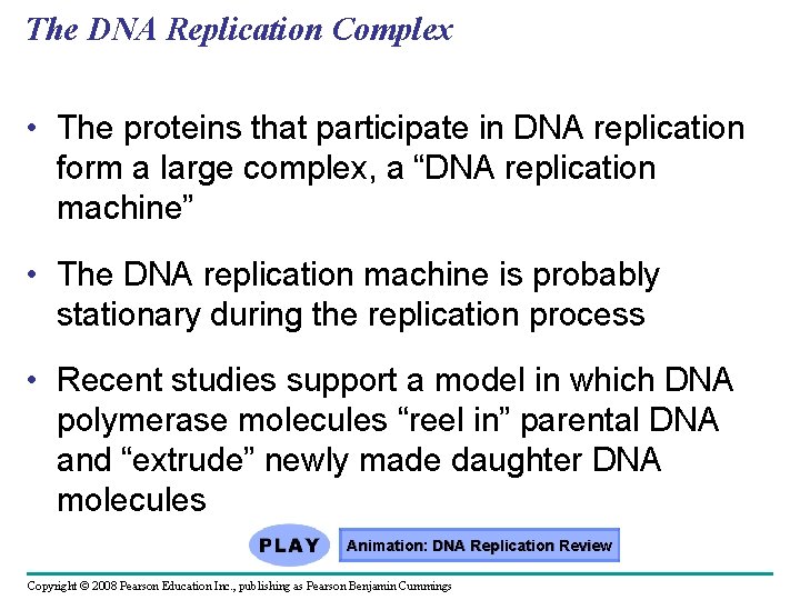 The DNA Replication Complex • The proteins that participate in DNA replication form a