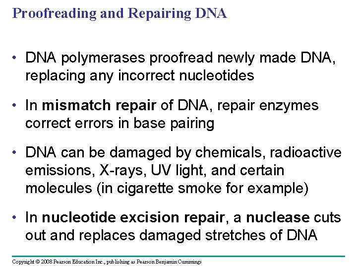 Proofreading and Repairing DNA • DNA polymerases proofread newly made DNA, replacing any incorrect