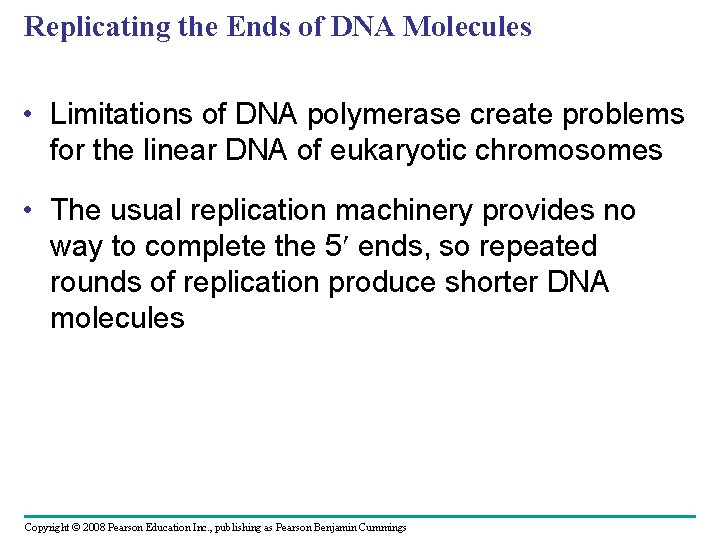 Replicating the Ends of DNA Molecules • Limitations of DNA polymerase create problems for