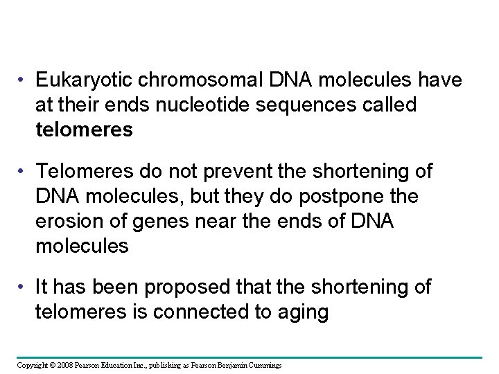  • Eukaryotic chromosomal DNA molecules have at their ends nucleotide sequences called telomeres