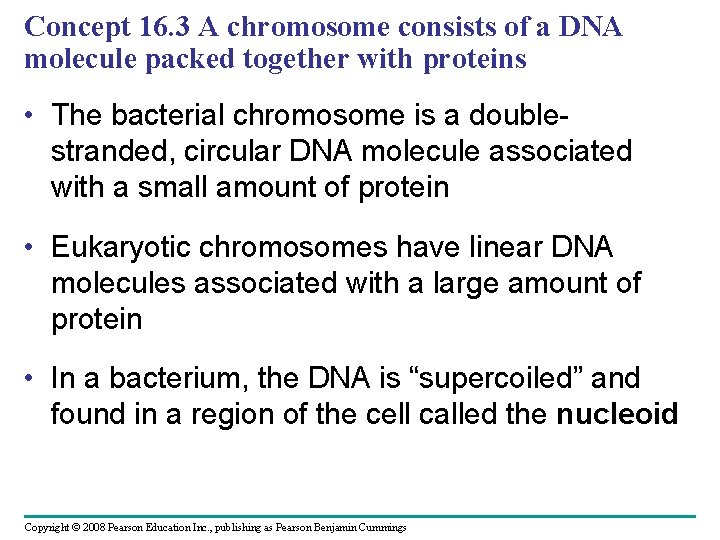 Concept 16. 3 A chromosome consists of a DNA molecule packed together with proteins