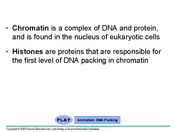  • Chromatin is a complex of DNA and protein, and is found in