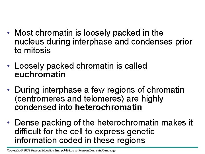  • Most chromatin is loosely packed in the nucleus during interphase and condenses