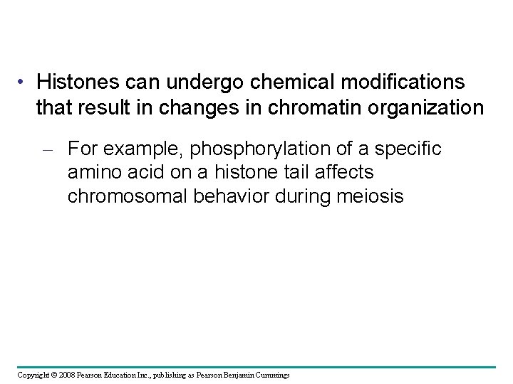  • Histones can undergo chemical modifications that result in changes in chromatin organization