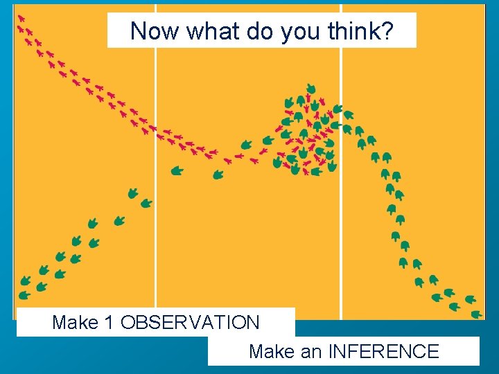 Now what do you think? Make 1 OBSERVATION Make an INFERENCE 