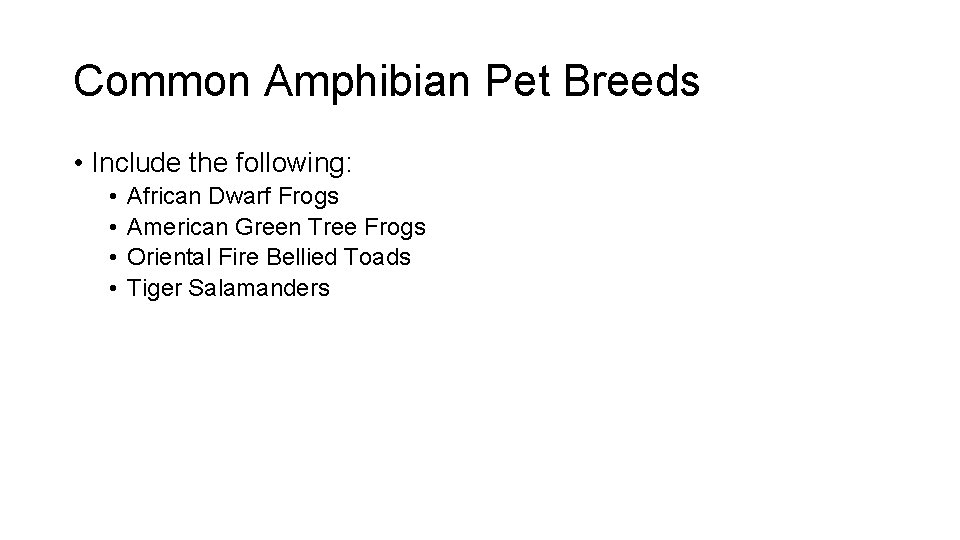 Common Amphibian Pet Breeds • Include the following: • • African Dwarf Frogs American