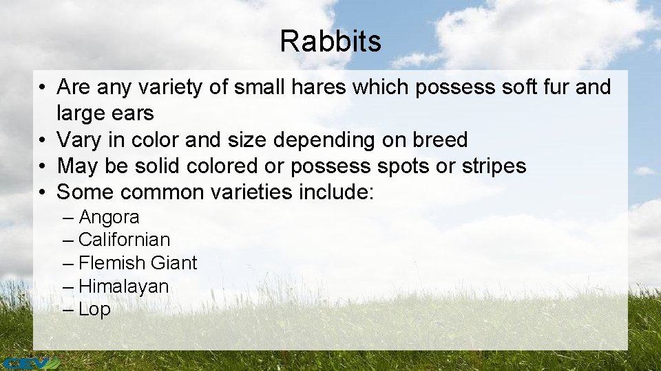 Rabbits • Are any variety of small hares which possess soft fur and large
