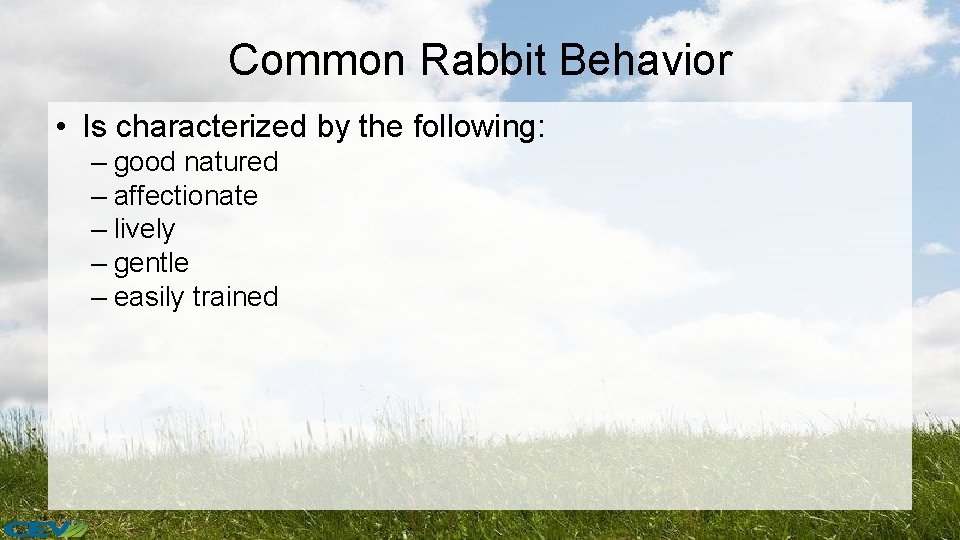 Common Rabbit Behavior • Is characterized by the following: – good natured – affectionate