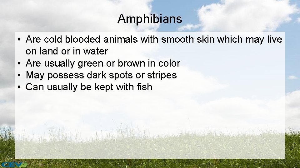 Amphibians • Are cold blooded animals with smooth skin which may live on land