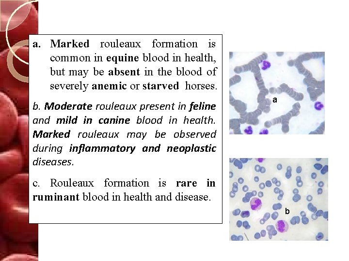 a. Marked rouleaux formation is common in equine blood in health, but may be