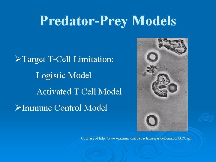 Predator-Prey Models ØTarget T-Cell Limitation: Logistic Model Activated T Cell Model ØImmune Control Model