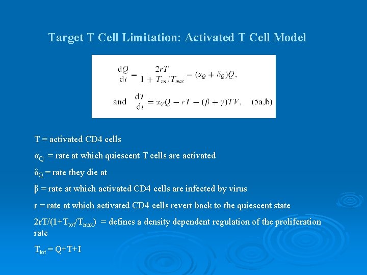 Target T Cell Limitation: Activated T Cell Model T = activated CD 4 cells