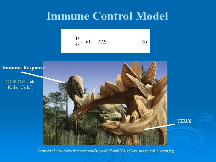 Immune Control Model Immune Response (CD 8 Cells, aka “Killer Cells”) VIRUS Courtesy of