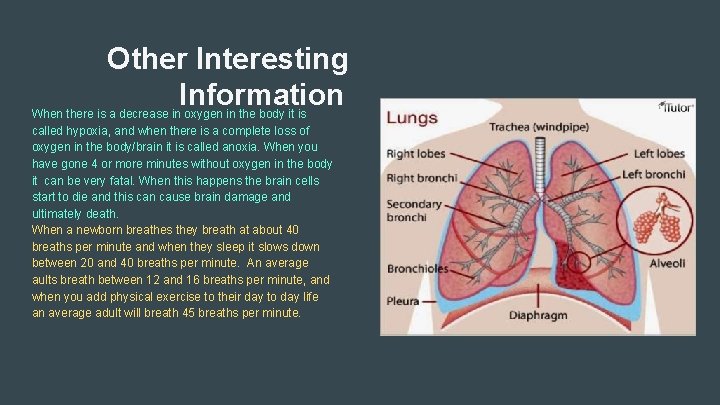 Other Interesting Information When there is a decrease in oxygen in the body it