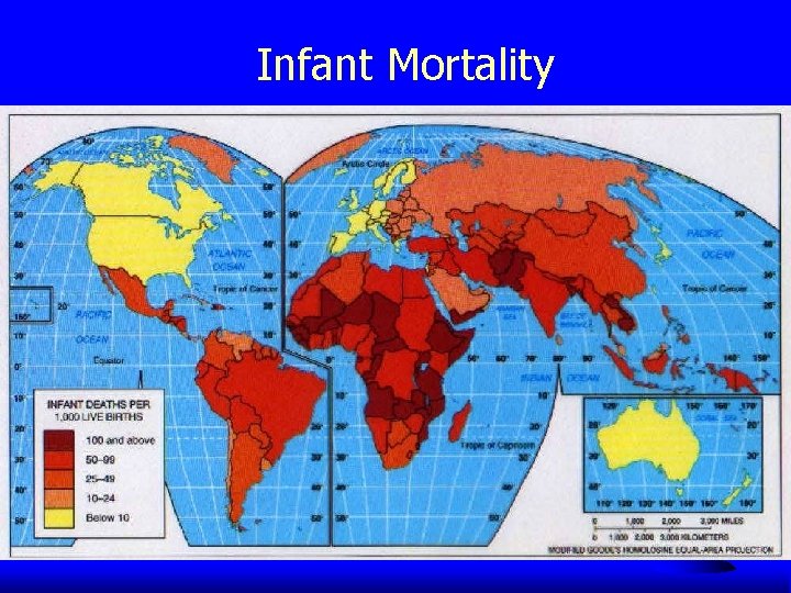 Infant Mortality 