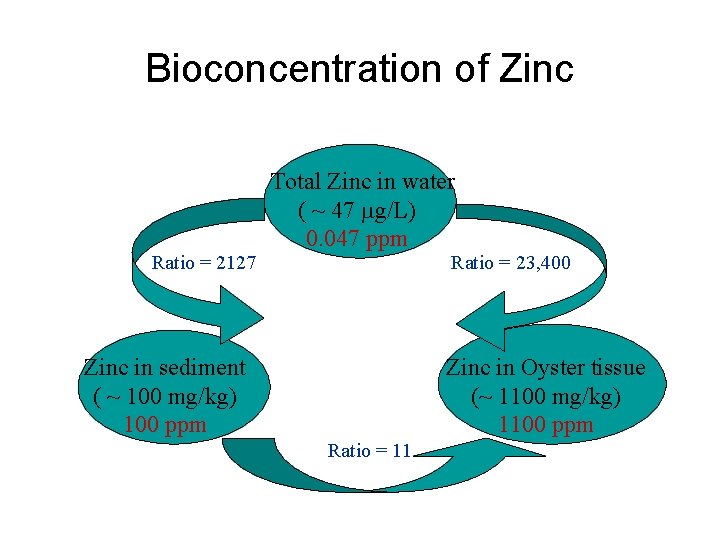 Bioconcentration of Zinc Ratio = 2127 Total Zinc in water ( ~ 47 mg/L)