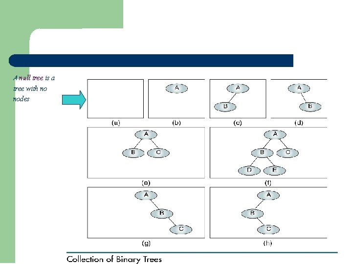 A null tree is a tree with no nodes A null tree is a tree with no nodes