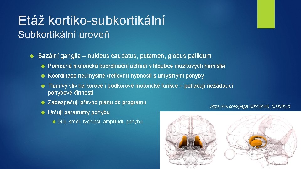 Etáž kortiko-subkortikální Subkortikální úroveň Bazální ganglia – nukleus caudatus, putamen, globus pallidum Pomocná motorická